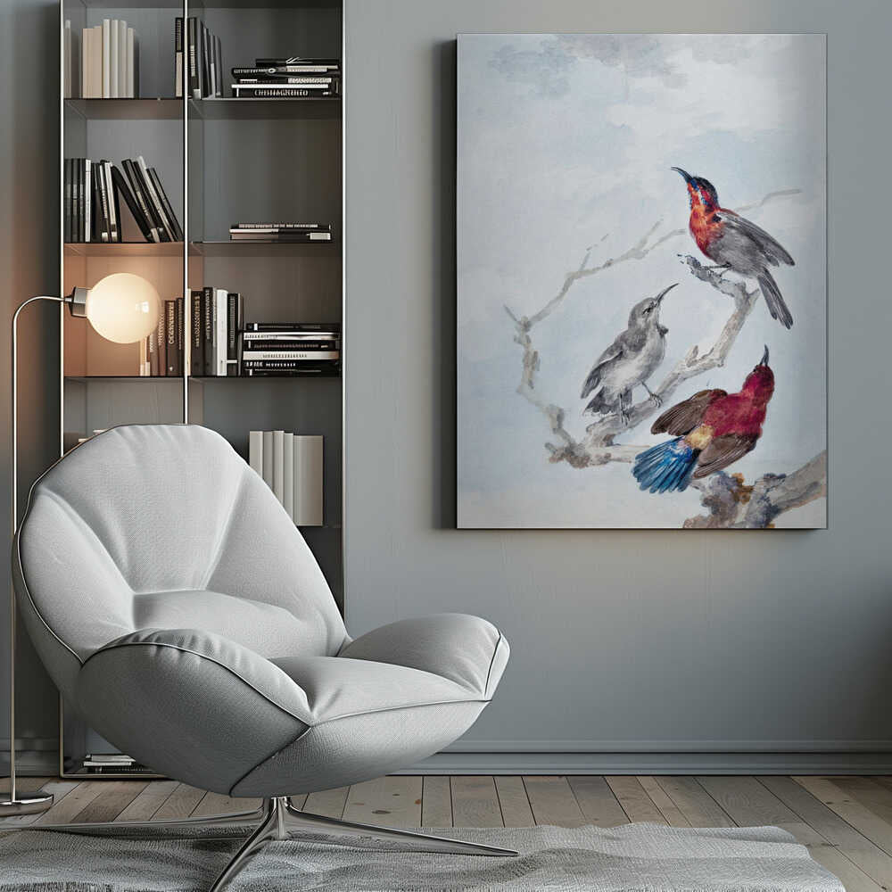 Three Crimson Sunbirds - Poster / Art Print