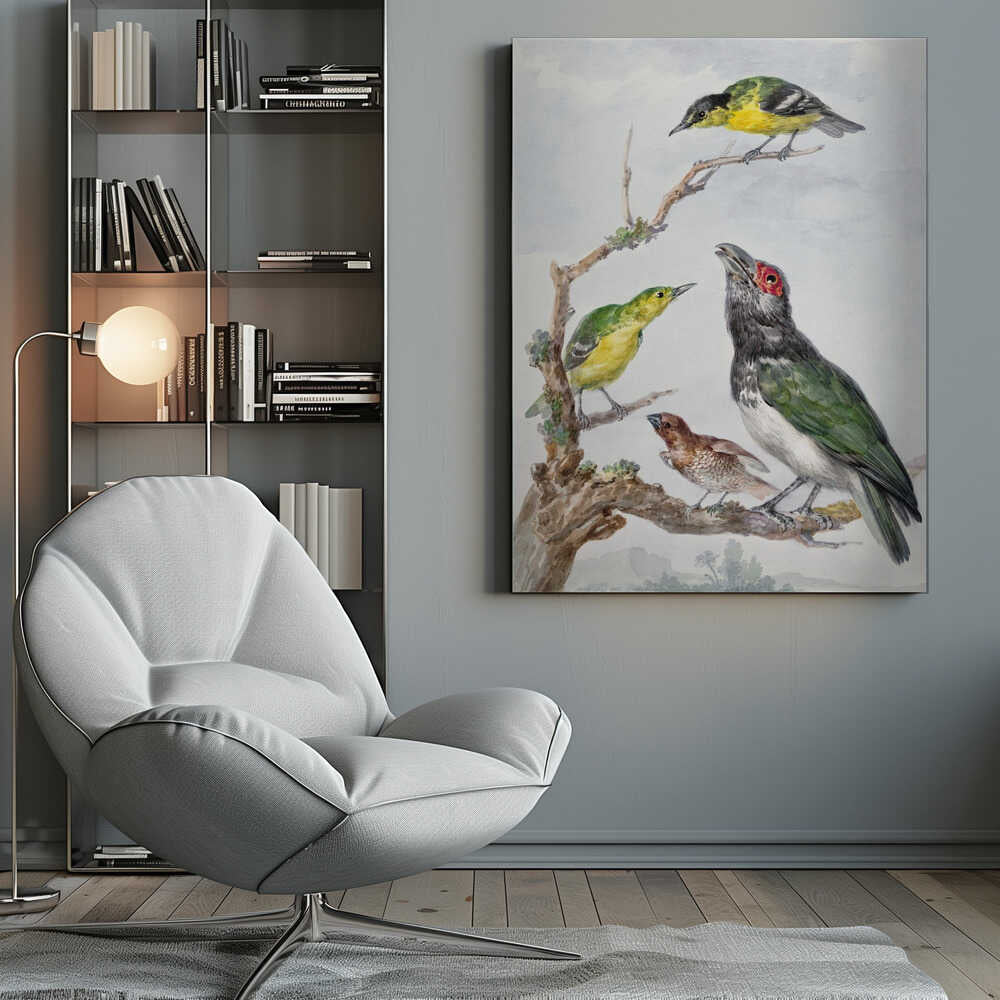 Four Different Birds On a Branch - Poster / Art Print