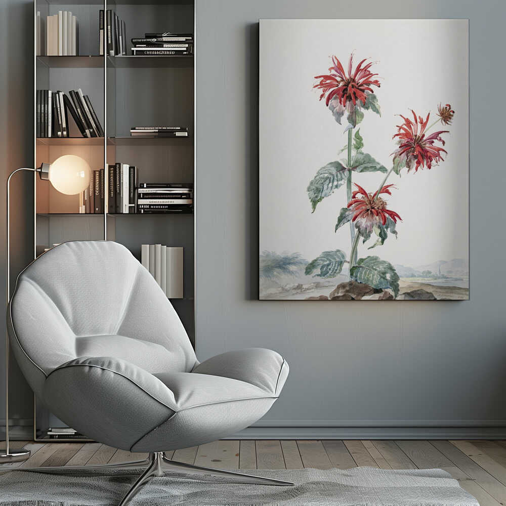 A Red Bergamot In a Landscape - Poster / Art Print