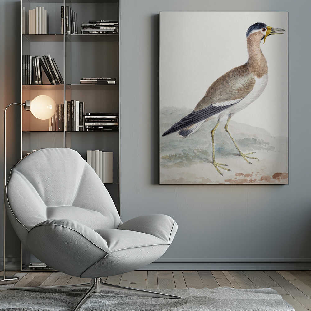 A Yellow Wattled Lapwing - Poster / Art Print