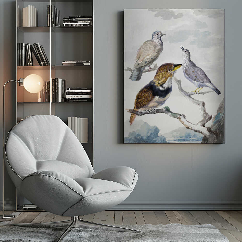 Three Birds, Two Inca Pigeons and a Collared Bearded Cuckoo - Poster / Art Print