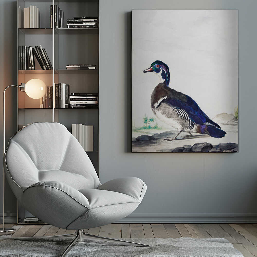 A Duck - Poster / Art Print