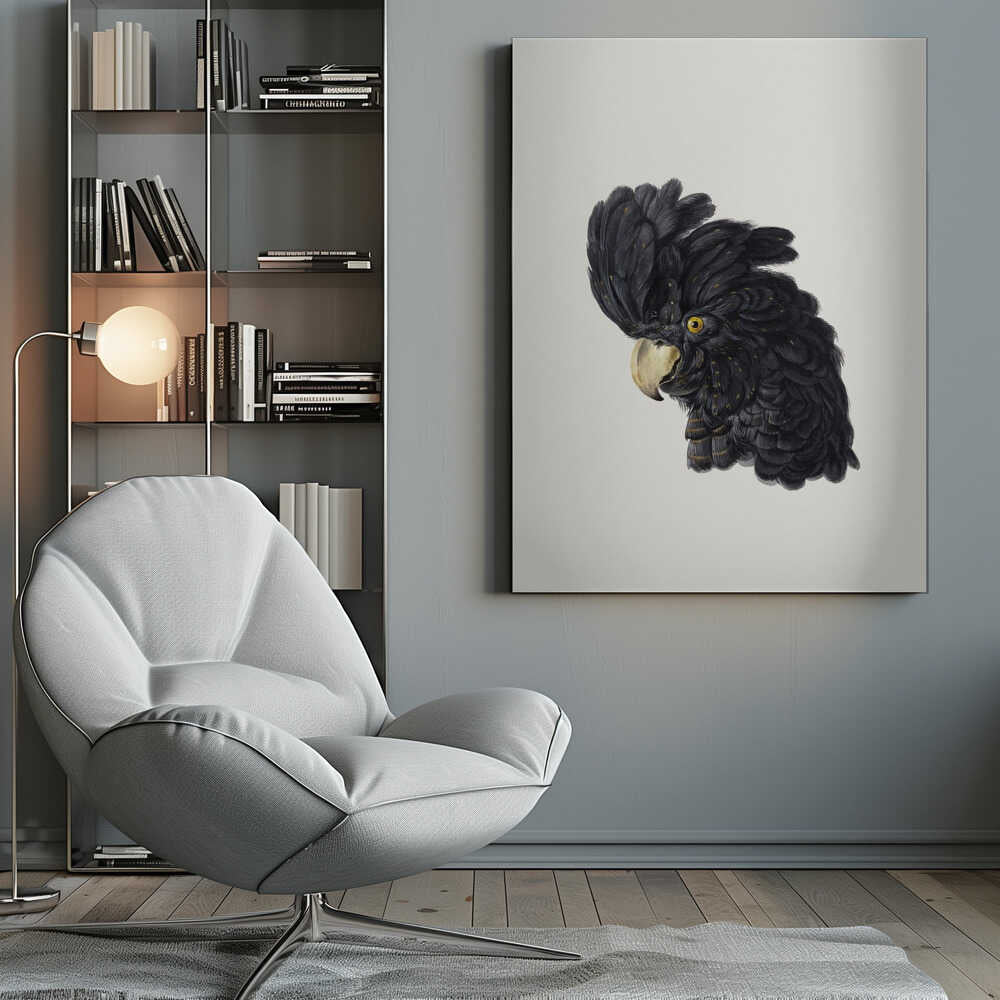 Head of a Cockatoo - Poster / Art Print