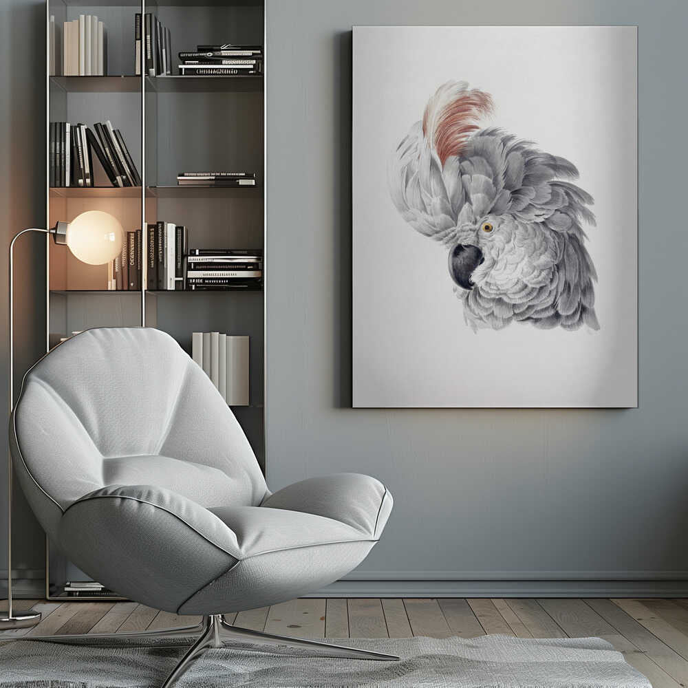 Cockatoo Head - Poster / Art Print