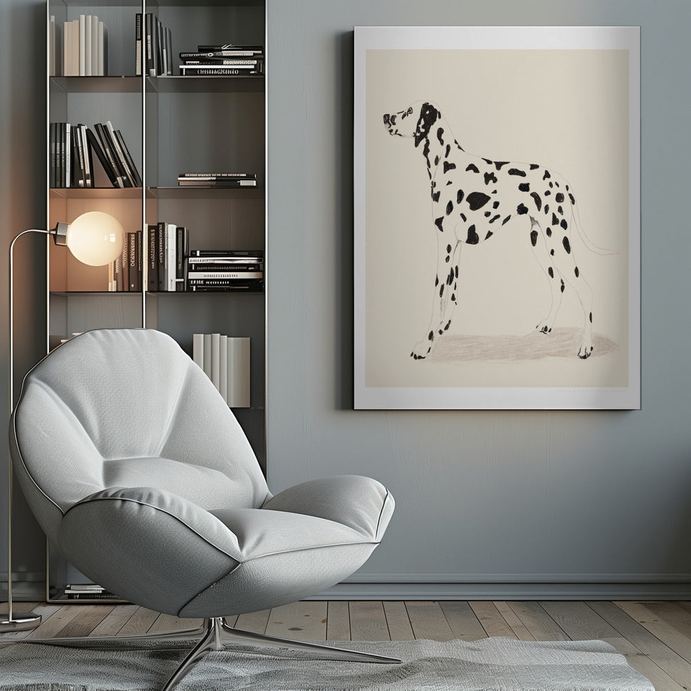 Pandc Dalmation - Poster / Art Print