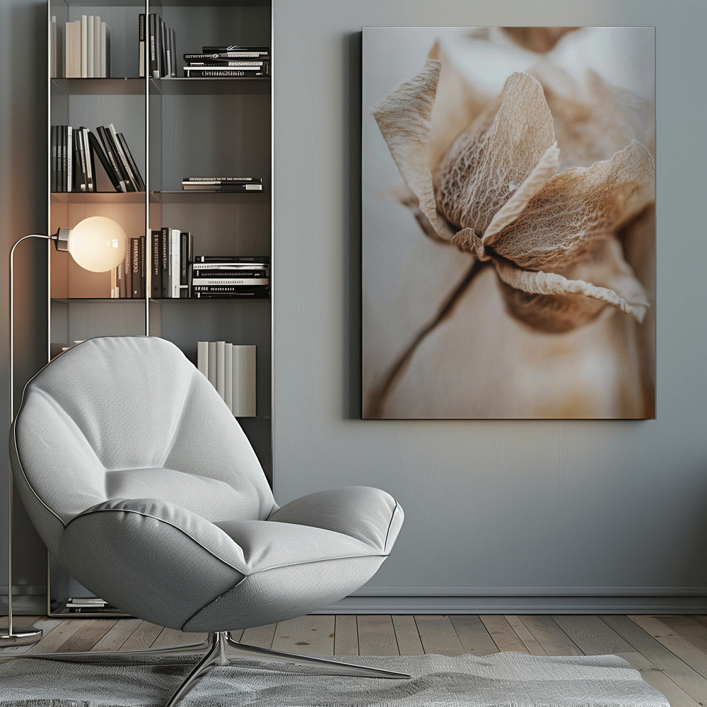 Dry flower detail No 3 - Poster / Art Print