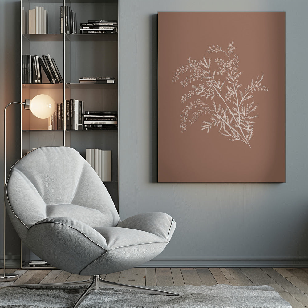 Acacia Botanical Branch - Poster / Art Print
