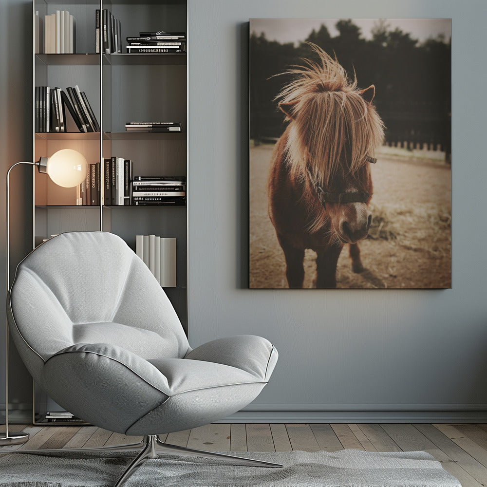 Small Horse - Poster / Art Print