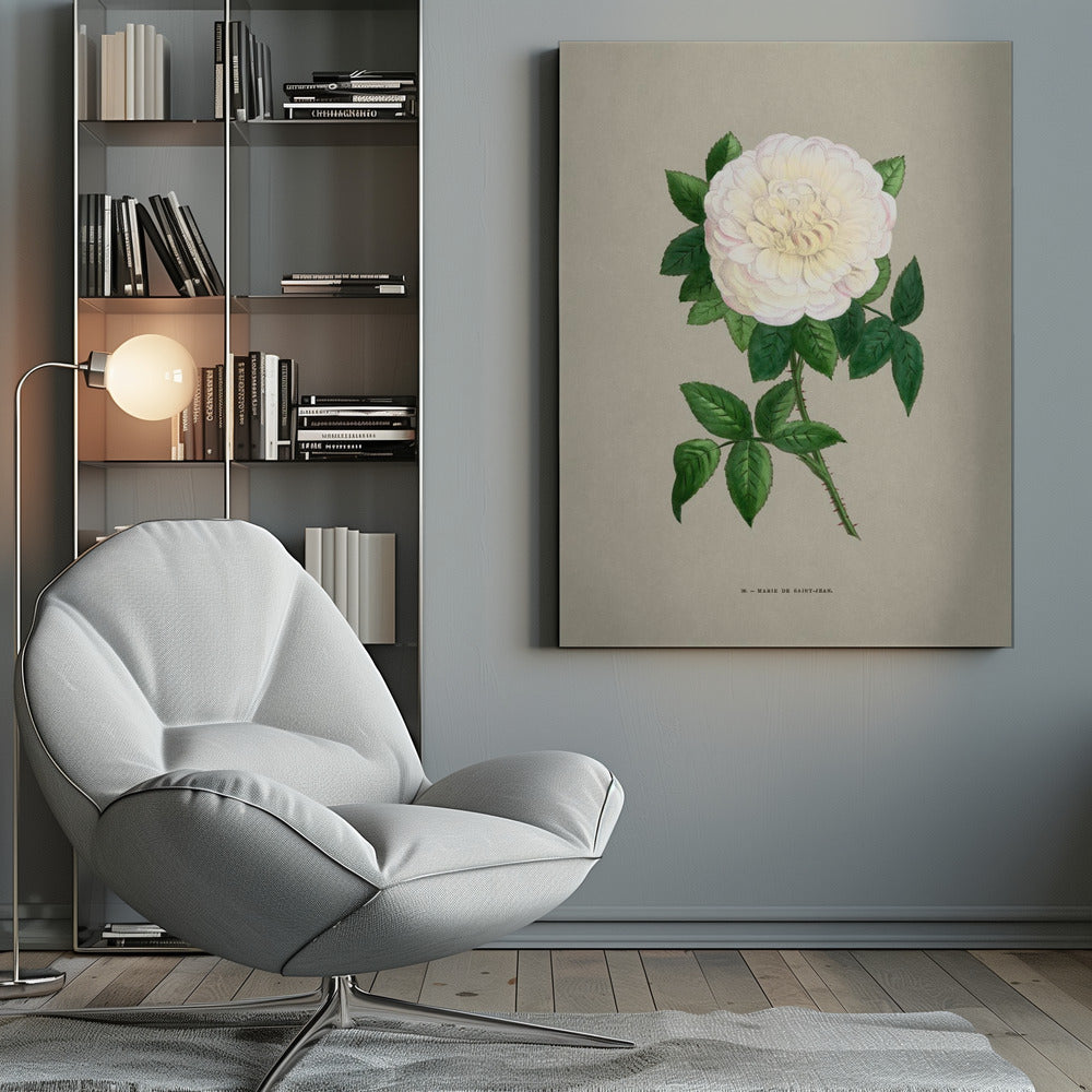 Rose Marie De Saint Jean - Poster / Art Print