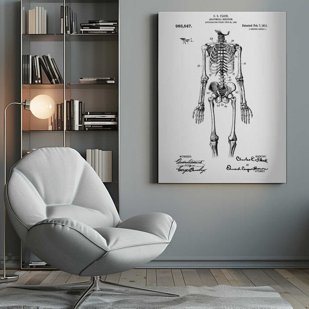Anatomical Skeleton Patent 1911 - Poster / Art Print