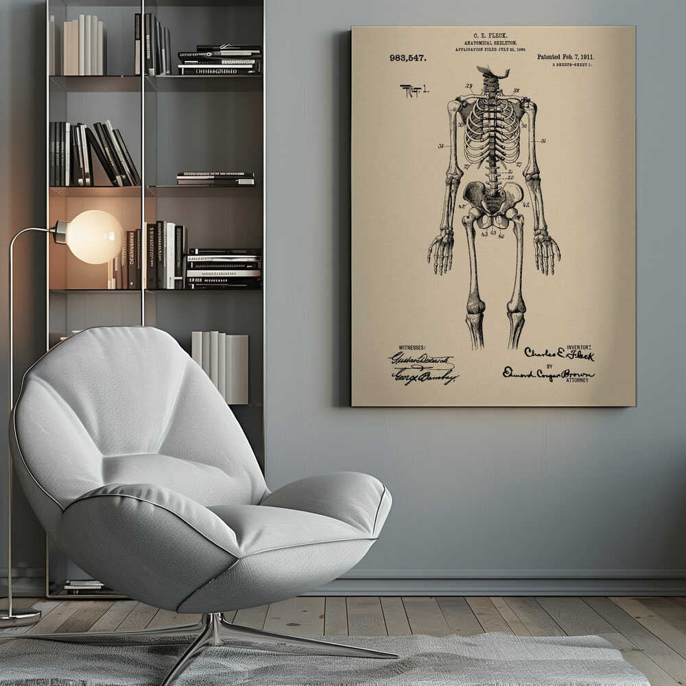 Anatomical Skeleton Patent 1911 - Poster / Art Print