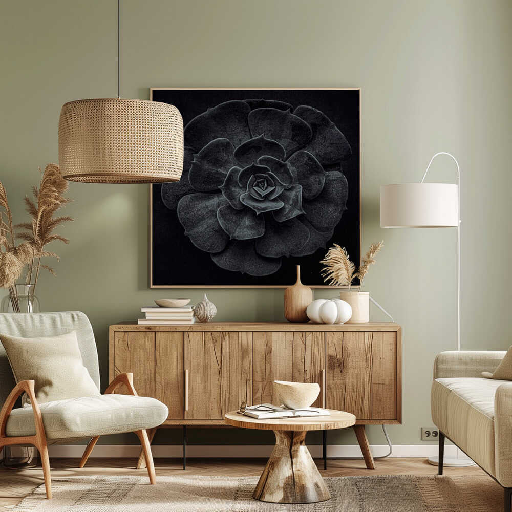 Cactus flower - Poster / Art Print