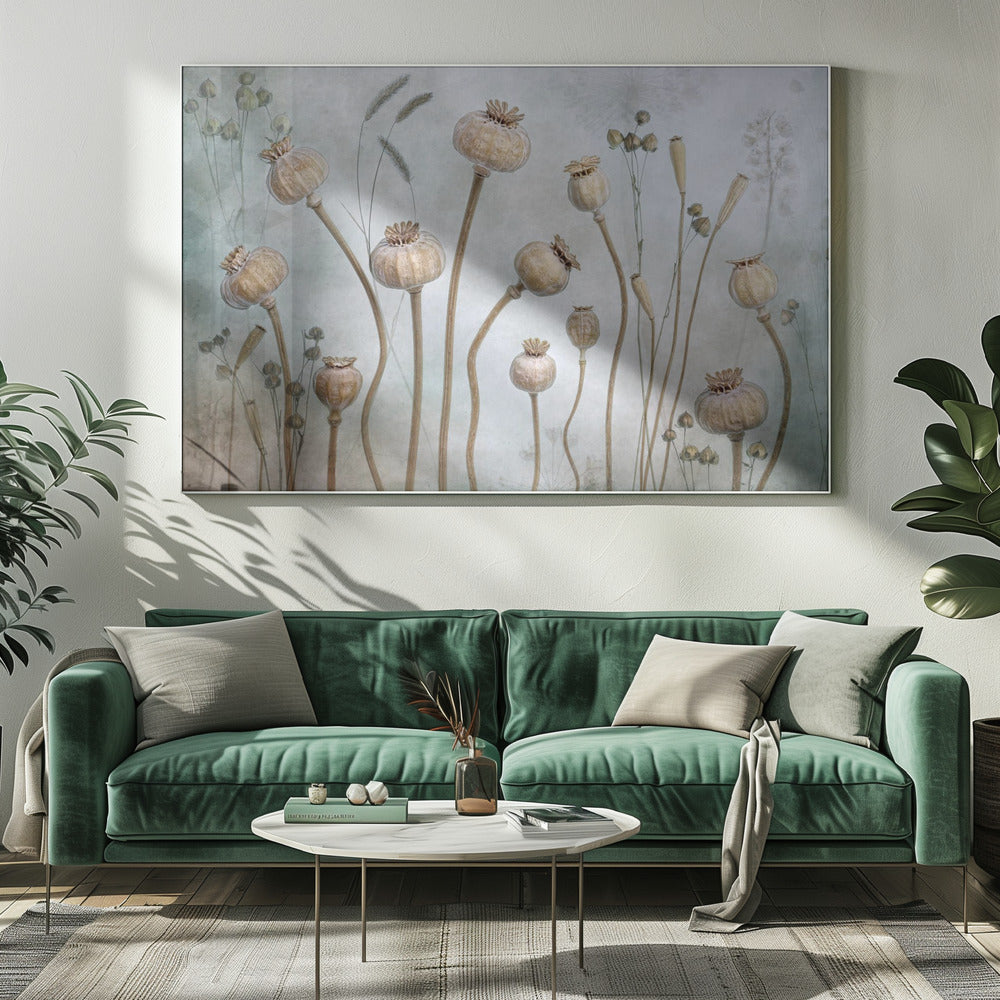 Poppies - Poster / Art Print