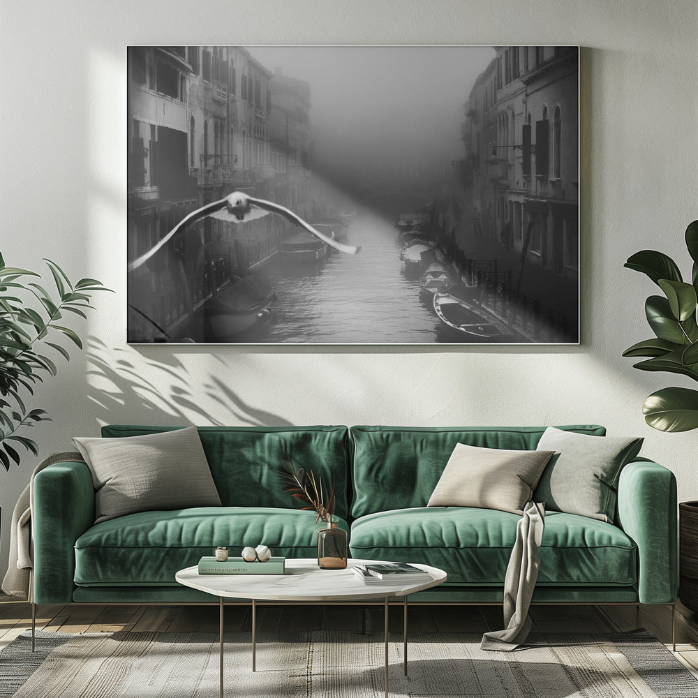 Seagull from the mist - Poster / Art Print