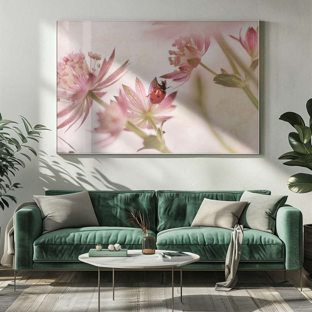 Ladybird and pink flowers - Poster / Art Print