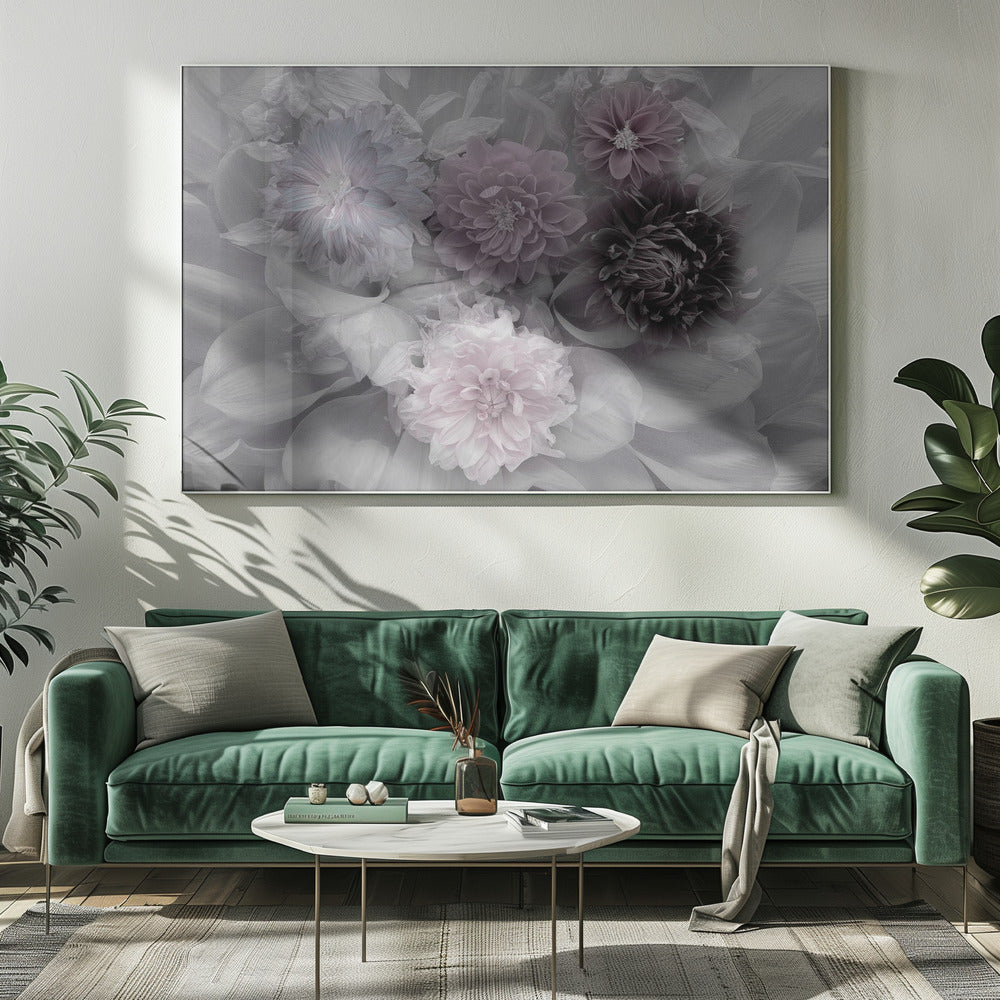 Dahlia dream - Poster / Art Print