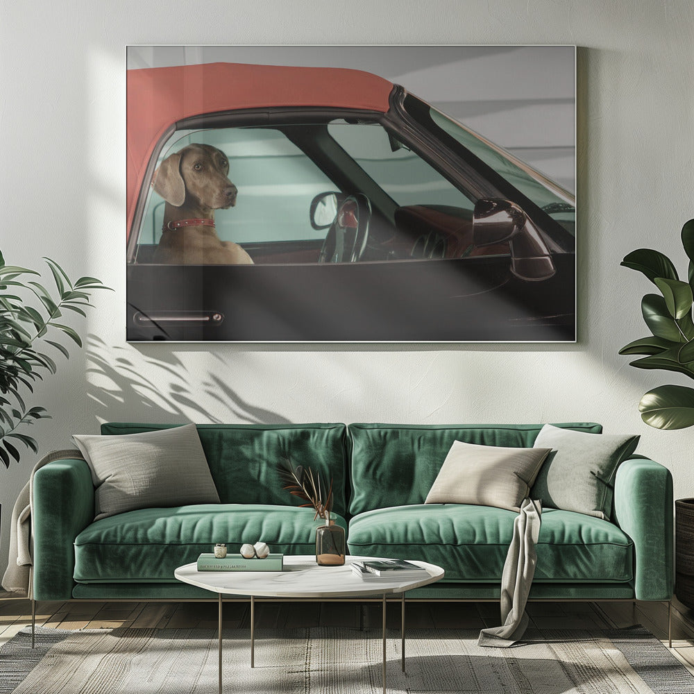 lady - Poster / Art Print