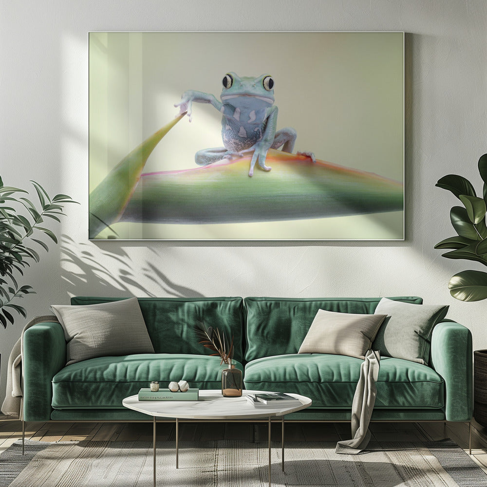So whaddaya say ?? - Posters / Art Prints