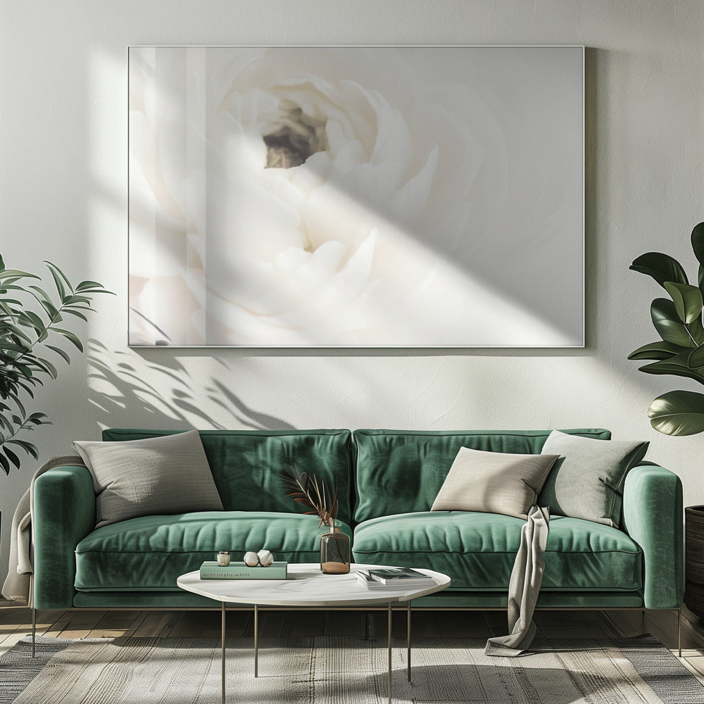 White Flower 02 - Poster / Art Print