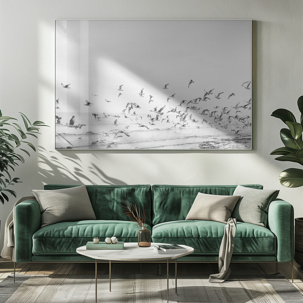 Seagulls - Coastal black and white - Poster / Art Print