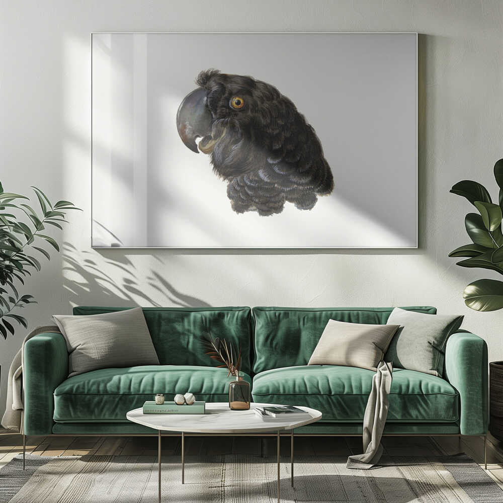 Cockatoo - Poster / Art Print