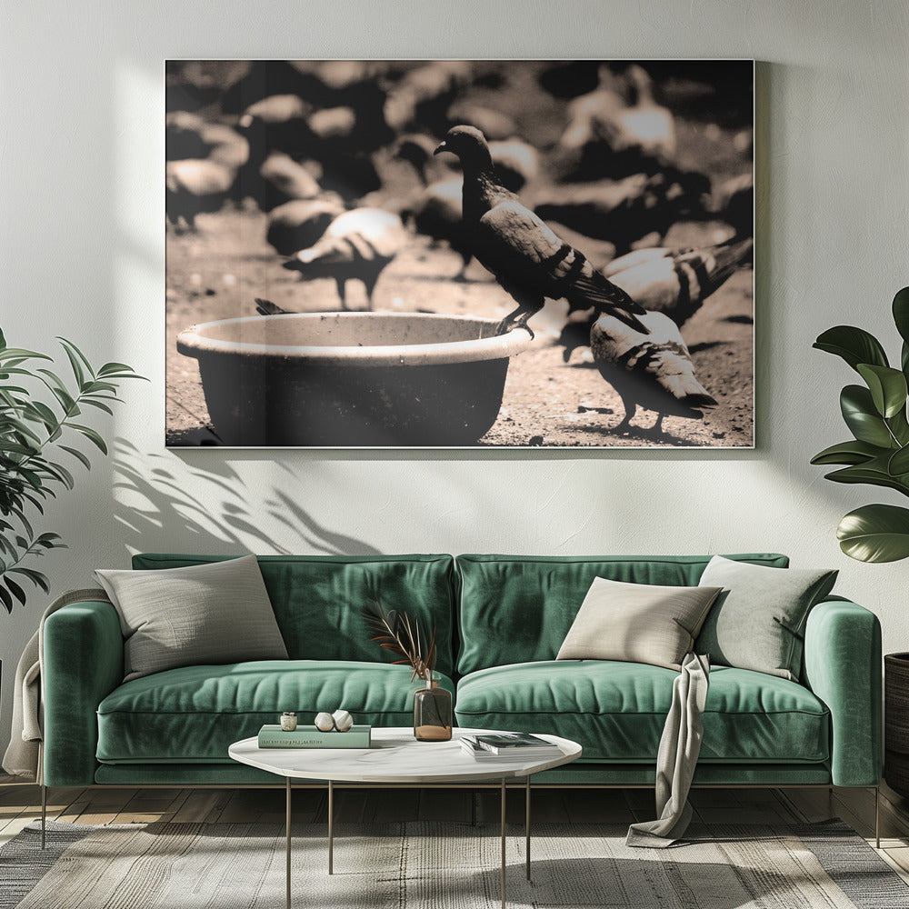 Birds 05 - Poster / Art Print