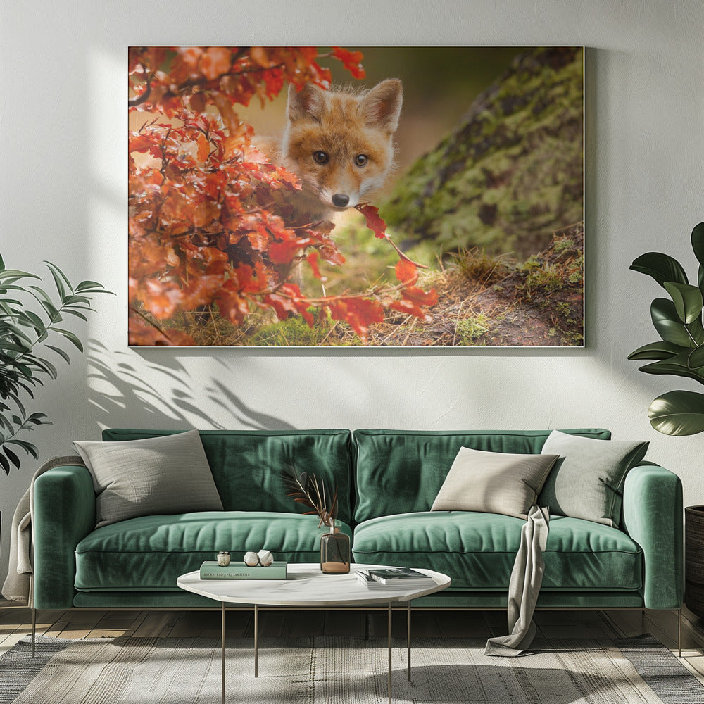 Fox - Poster / Art Print