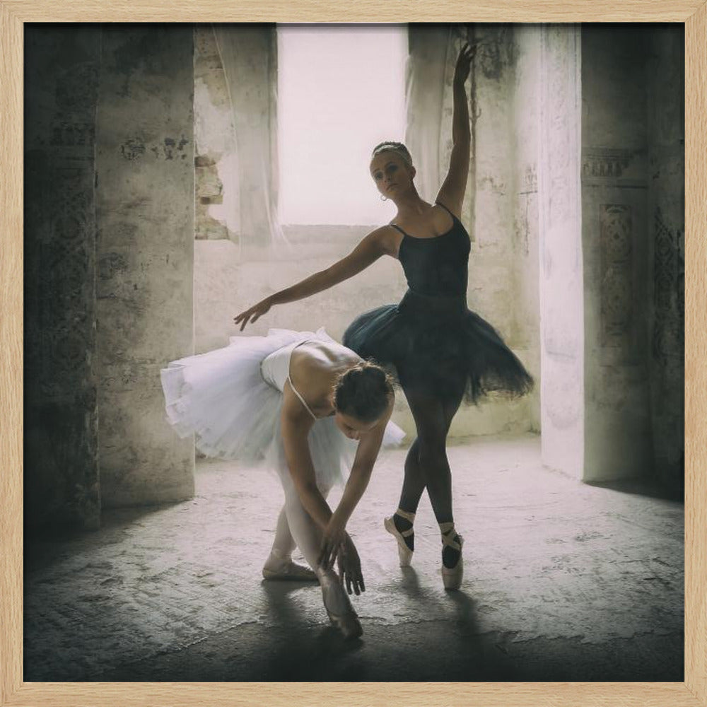 the subtle bow - Poster / Art Print