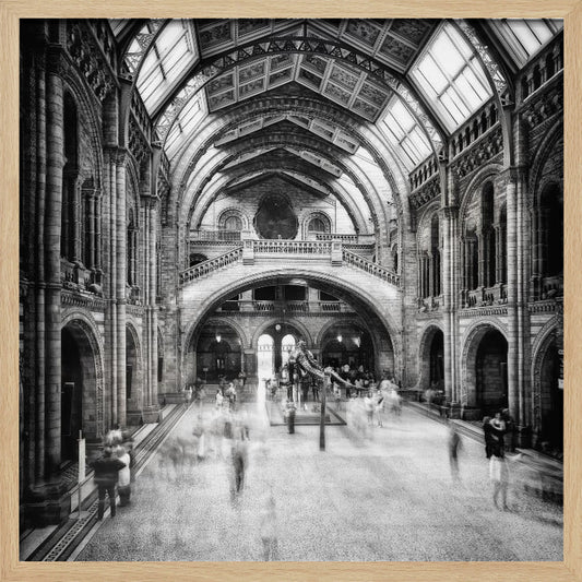Natural History Museum of London - Poster / Art Print