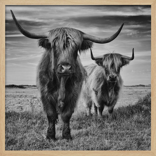 Highlands - Poster / Art Print