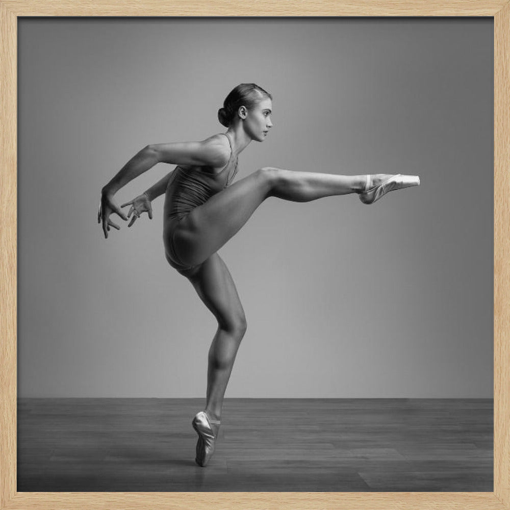 Ballerina march - Poster / Art Print