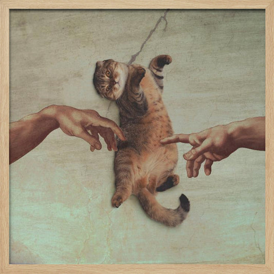 Touch of the Kitty - Poster / Art Print