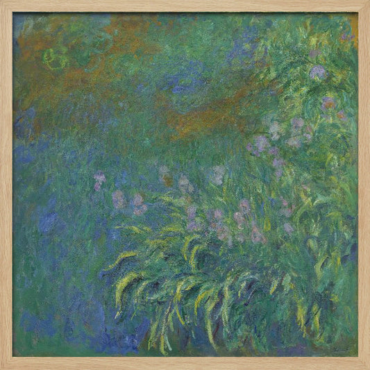 Irises By Claude Monet - Poster / Art Print