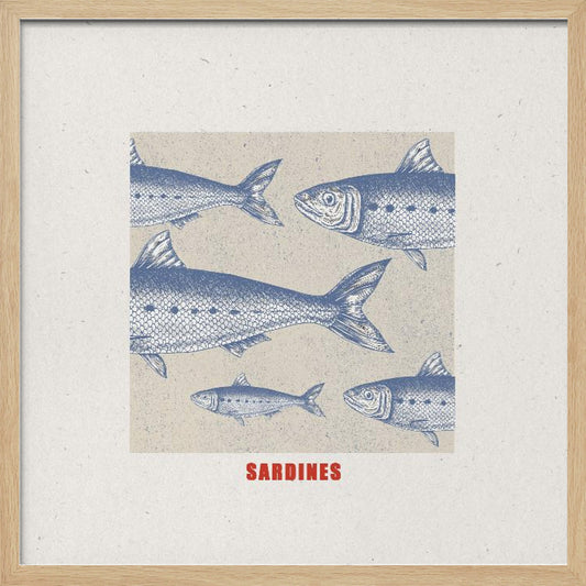 Sardines - Poster / Art Print