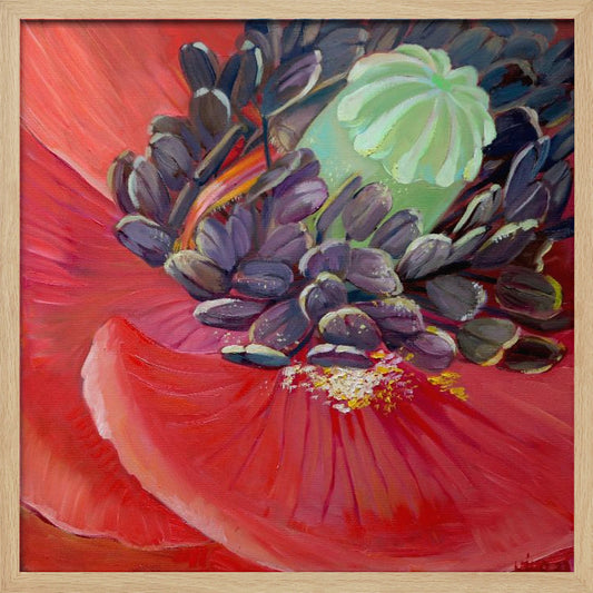 Honey Bee In Poppy Flower - Poster / Art Print