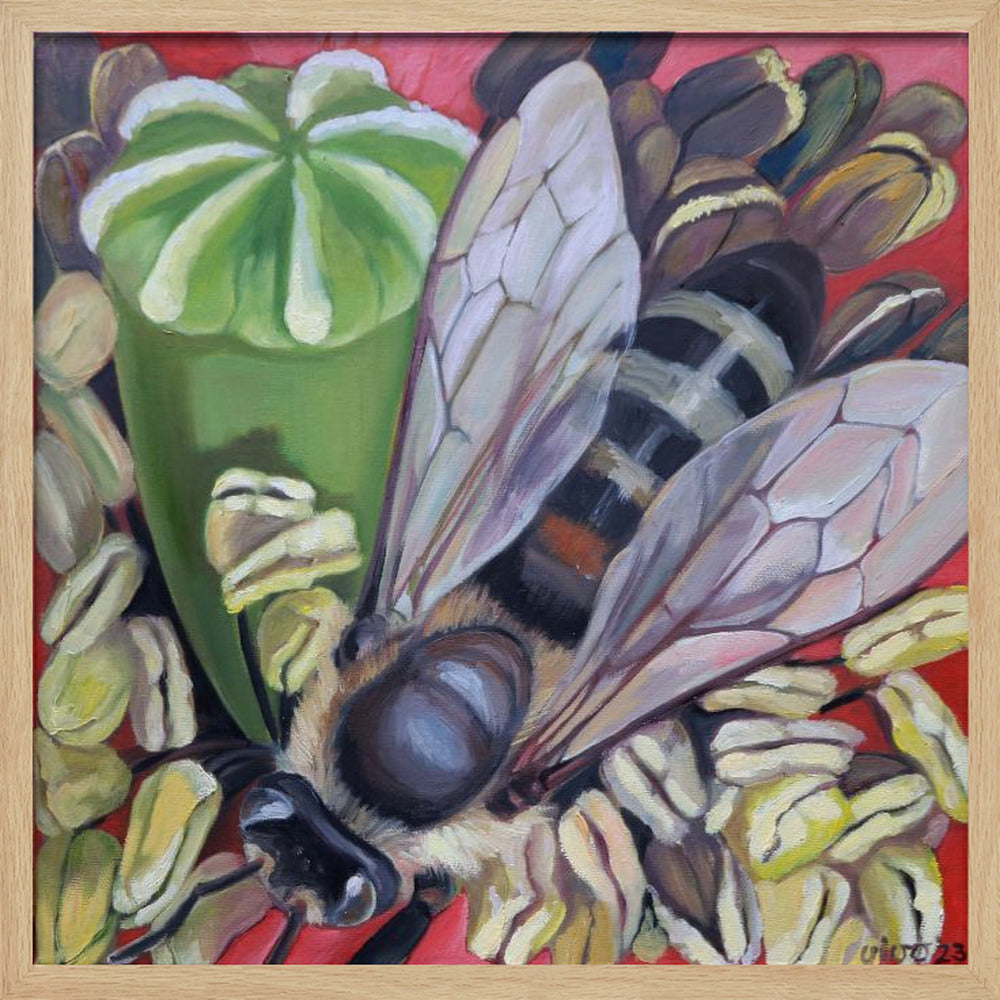 Hornet Hoverfly On Poppies - Poster / Art Print