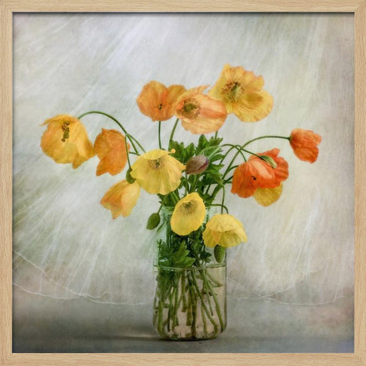 In the window - Poster / Art Print