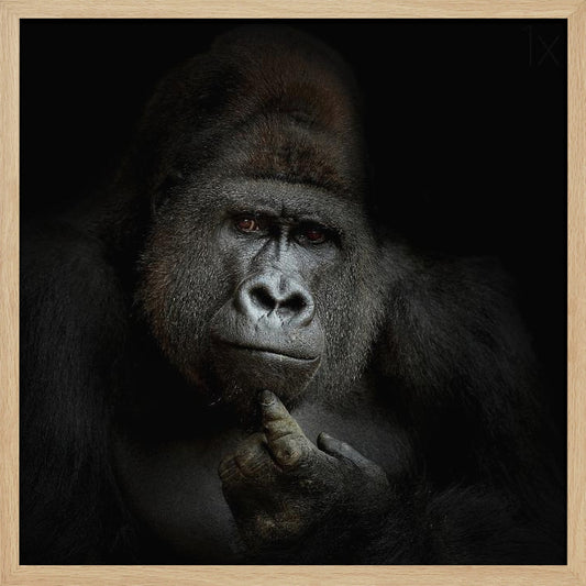 ego cogito, ergo sum - Poster / Art Print