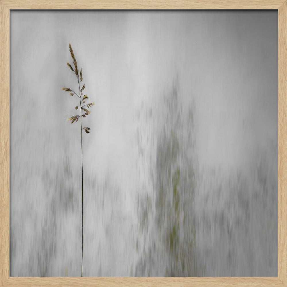blade of grass - Poster / Art Print