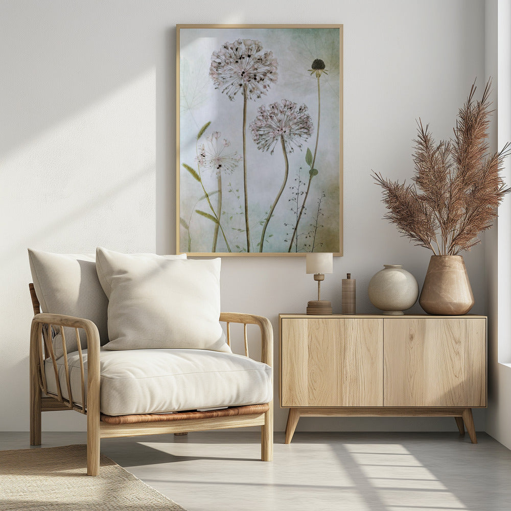 Allium - Poster / Art Print