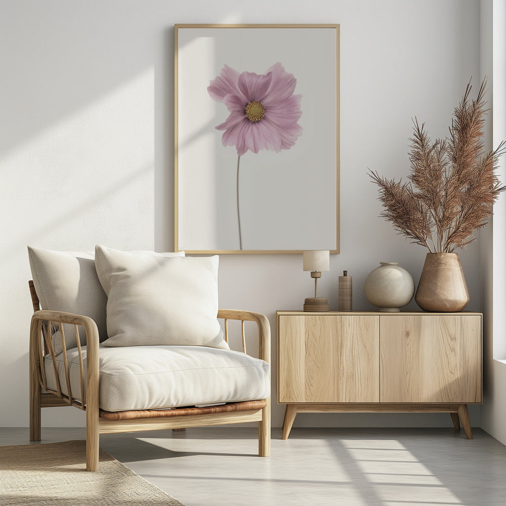 Cosmos flower - Poster / Art Print