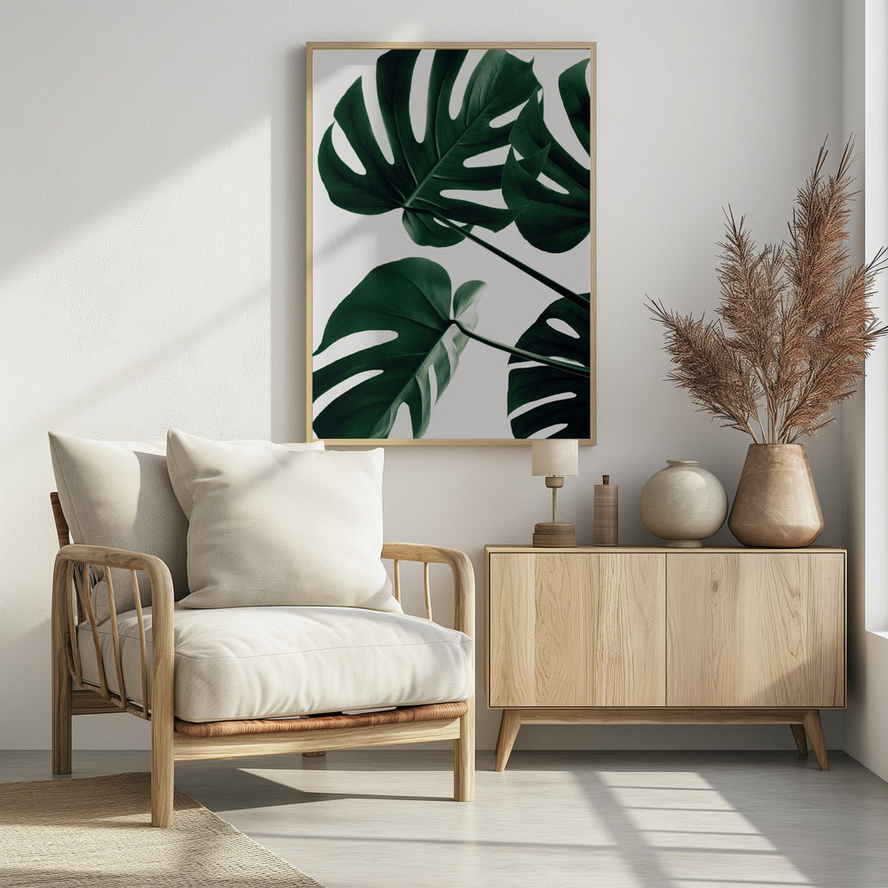 Monstera Natural 43 - Poster / Art Print
