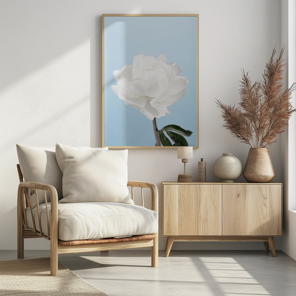 Peony - Poster / Art Print