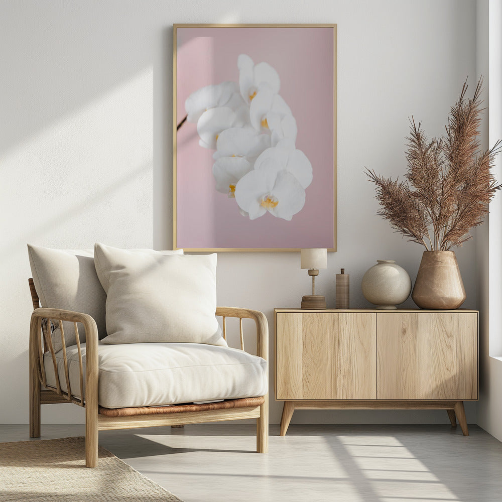 Orchid_2 - Poster / Art Print