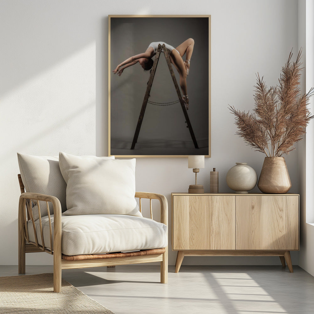 how to use a ladder - Poster / Art Print