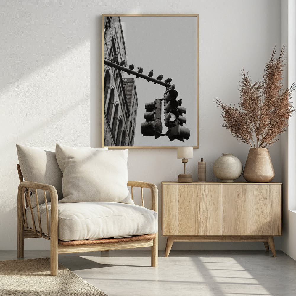 New York City Doves - Poster / Art Print