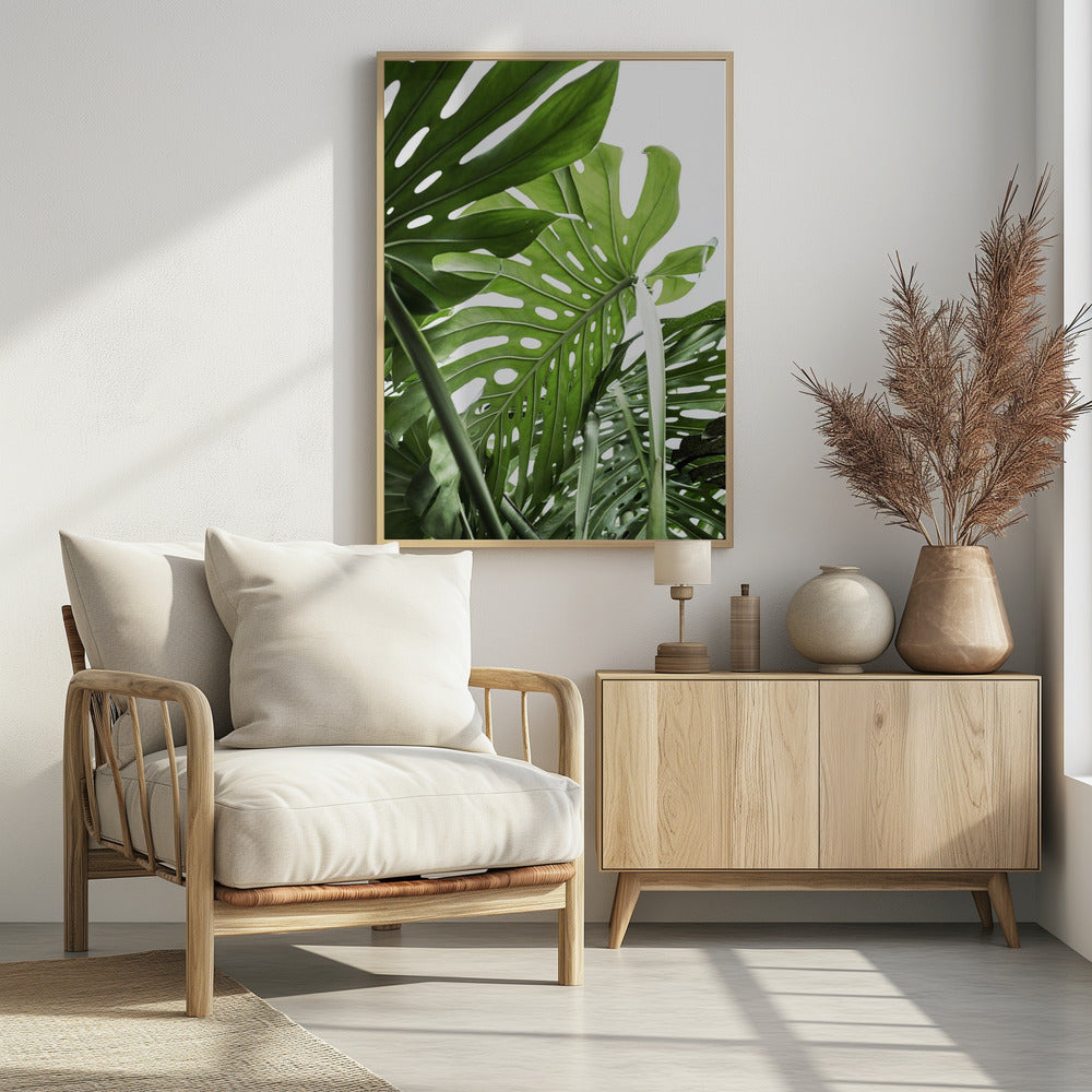 Jungle - Poster / Art Print