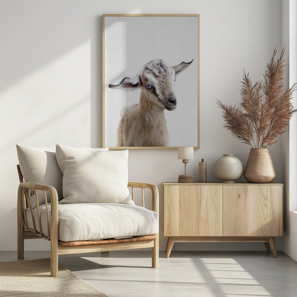 Peekaboo Baby Goat - Poster / Art Print
