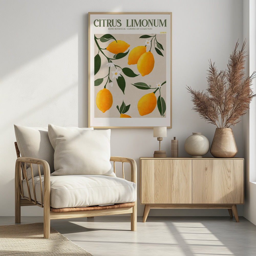Citrus Limonum - Lemon - Poster / Art Print