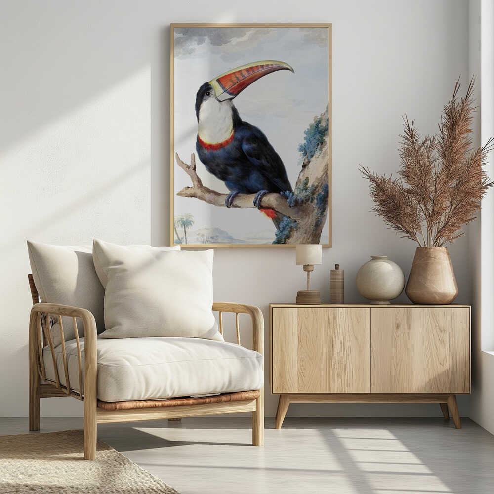 Red Billed Toucan - Poster / Art Print